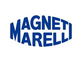 Magneti Marelli 62066 - BLOQUE OPTICO POST.DCH.RENAULT MEGA